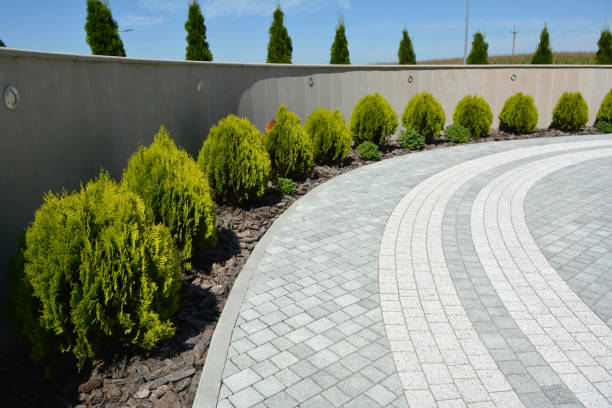 Best Residential Driveway Paver Services  in Regency At Monroe, NJ